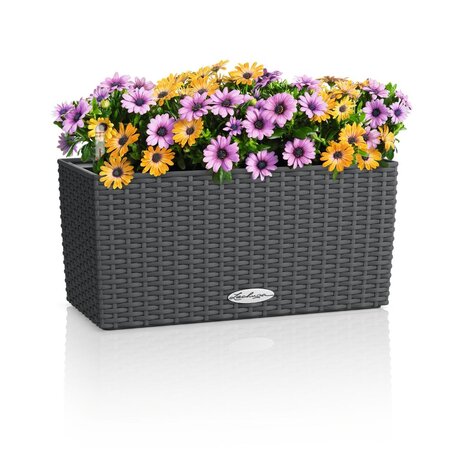 LECHUZA BALCONERA Cottage graniet LECHUZA BALCONERA Cottage graniet