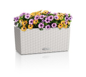 BALCONERA Cottage gris clair BALCONERA Cottage gris clair