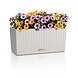 LECHUZA BALCONERA Cottage gris clair LECHUZA BALCONERA Cottage gris clair