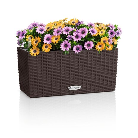 LECHUZA BALCONERA Cottage moka