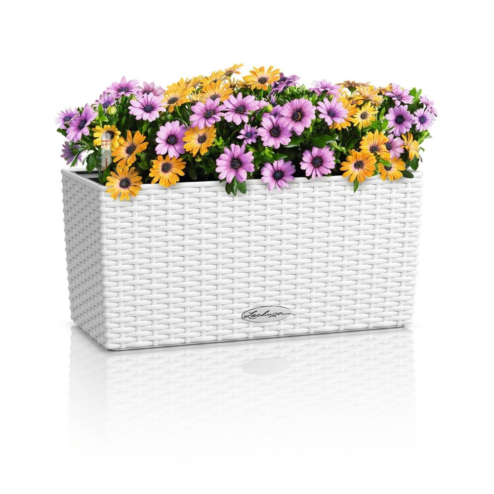 LECHUZA BALCONERA Cottage blanc