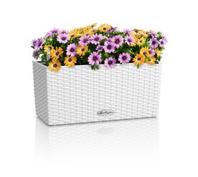 BALCONERA Cottage white BALCONERA Cottage white