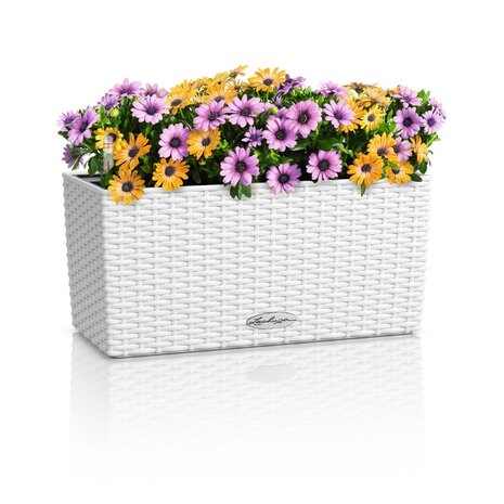 LECHUZA BALCONERA Cottage blanc