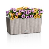 BALCONERA Cottage sand brown