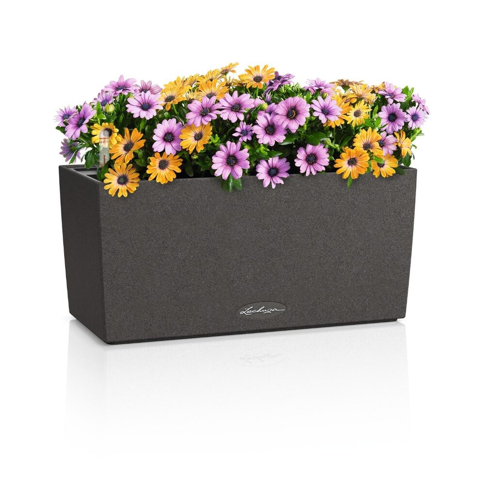 LECHUZA BALCONERA Stone grafietzwart LECHUZA BALCONERA Stone grafietzwart