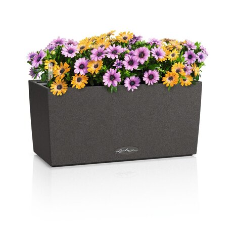 LECHUZA BALCONERA Stone noir graphite LECHUZA BALCONERA Stone noir graphite