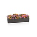 LECHUZA BALCONERA Stone graphite black LECHUZA BALCONERA Stone graphite black