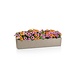LECHUZA BALCONERA Stone sandbeige LECHUZA BALCONERA Stone sandbeige