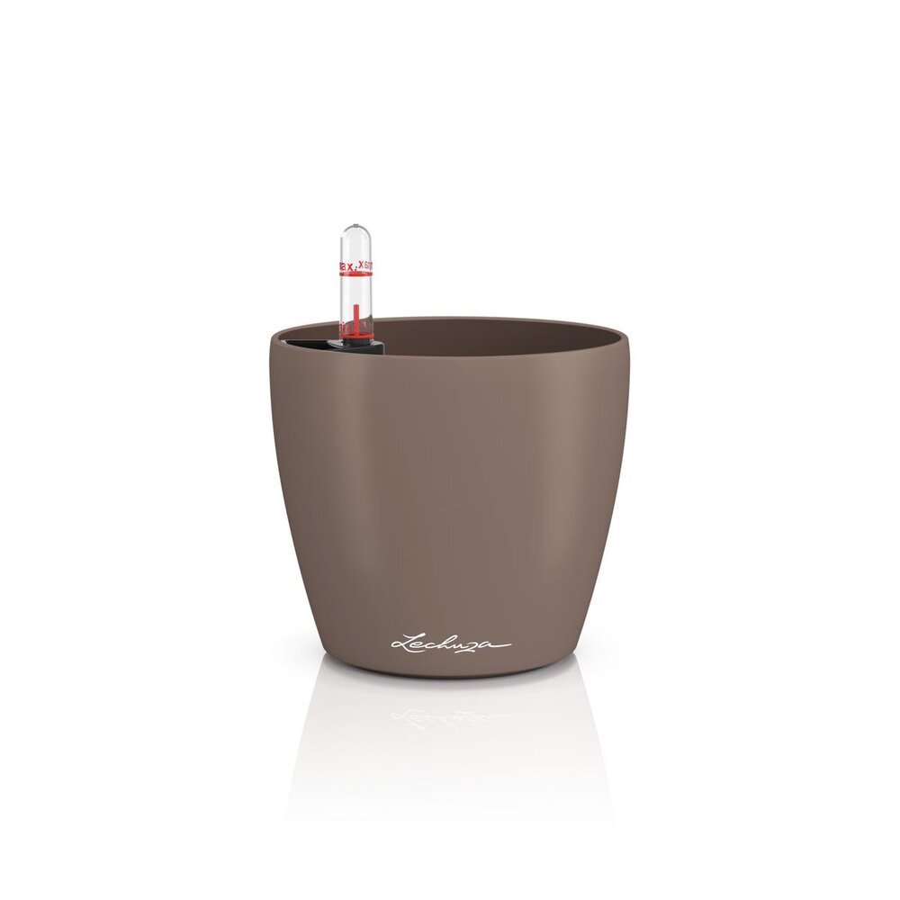 LECHUZA CLASSICO Color muskat