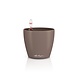 LECHUZA CLASSICO Color nutmeg LECHUZA CLASSICO Color nutmeg