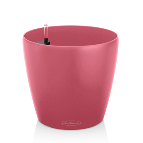 LECHUZA CLASSICO Coup de cœur pour le coucher de soleil en couleur