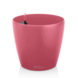 LECHUZA CLASSICO Color sunset crush LECHUZA CLASSICO Color sunset crush