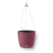 LECHUZA NIDO Cottage lilas LECHUZA NIDO Cottage lilas