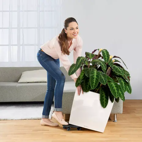 LECHUZA CUBE silber metallic LECHUZA CUBE silber metallic