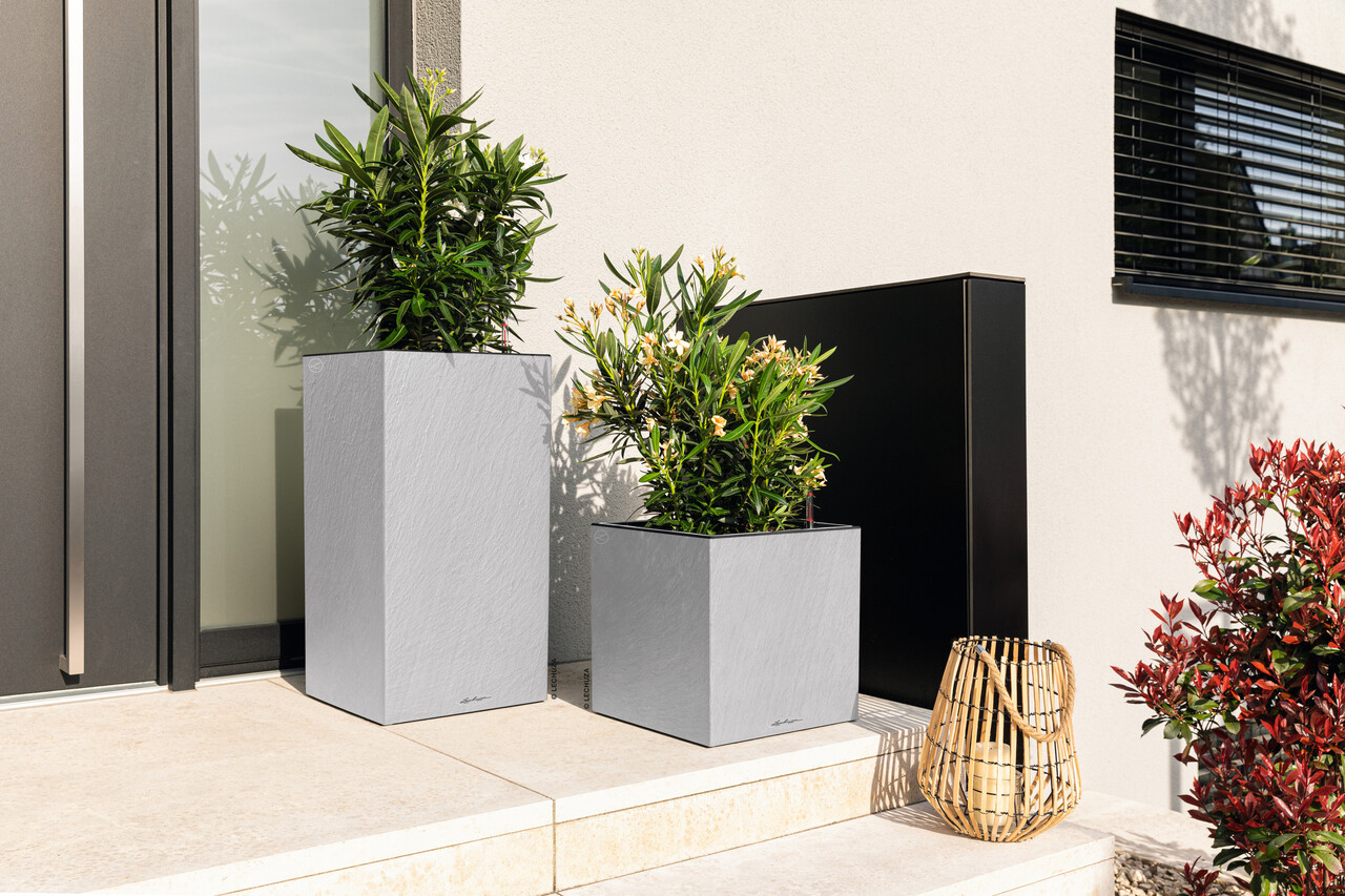 LECHUZA CANTO Slatestone gris clair