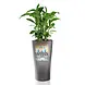 LECHUZA DELTA charcoal metallic LECHUZA DELTA charcoal metallic