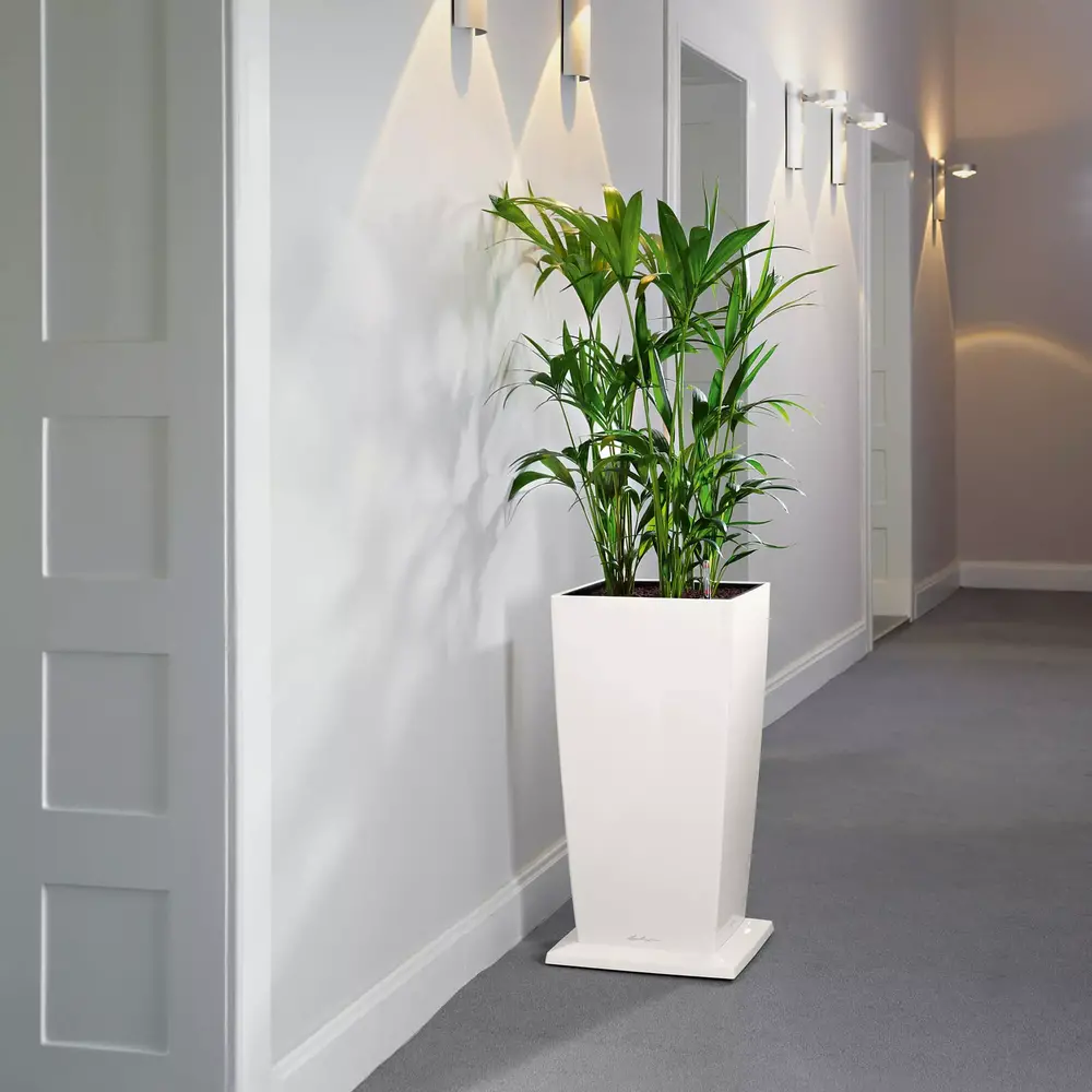 LECHUZA COASTER Support à roulettes LECHUZA COASTER Support à roulettes