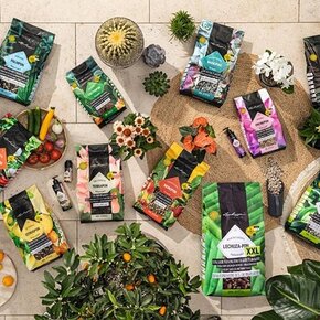 LECHUZA SUBSTRATS POUR PLANTES LECHUZA SUBSTRATS POUR PLANTES