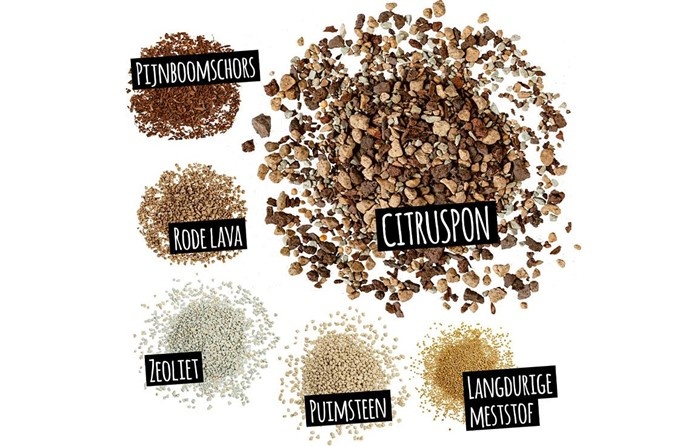 CITRUSPON INGREDIËNTEN