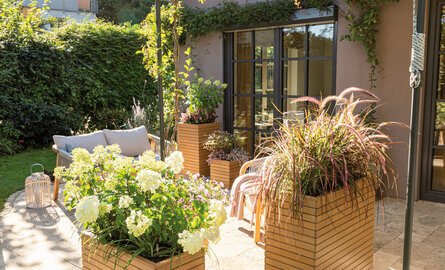 Natuurlijk wonen met hout en planten – Duurzaam Interieur