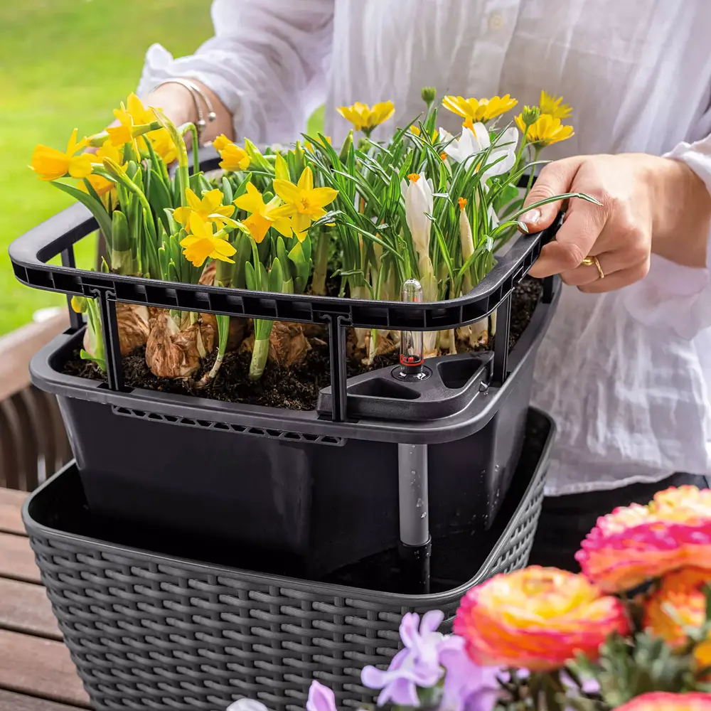 LECHUZA BACINO Cottage lichtgrau