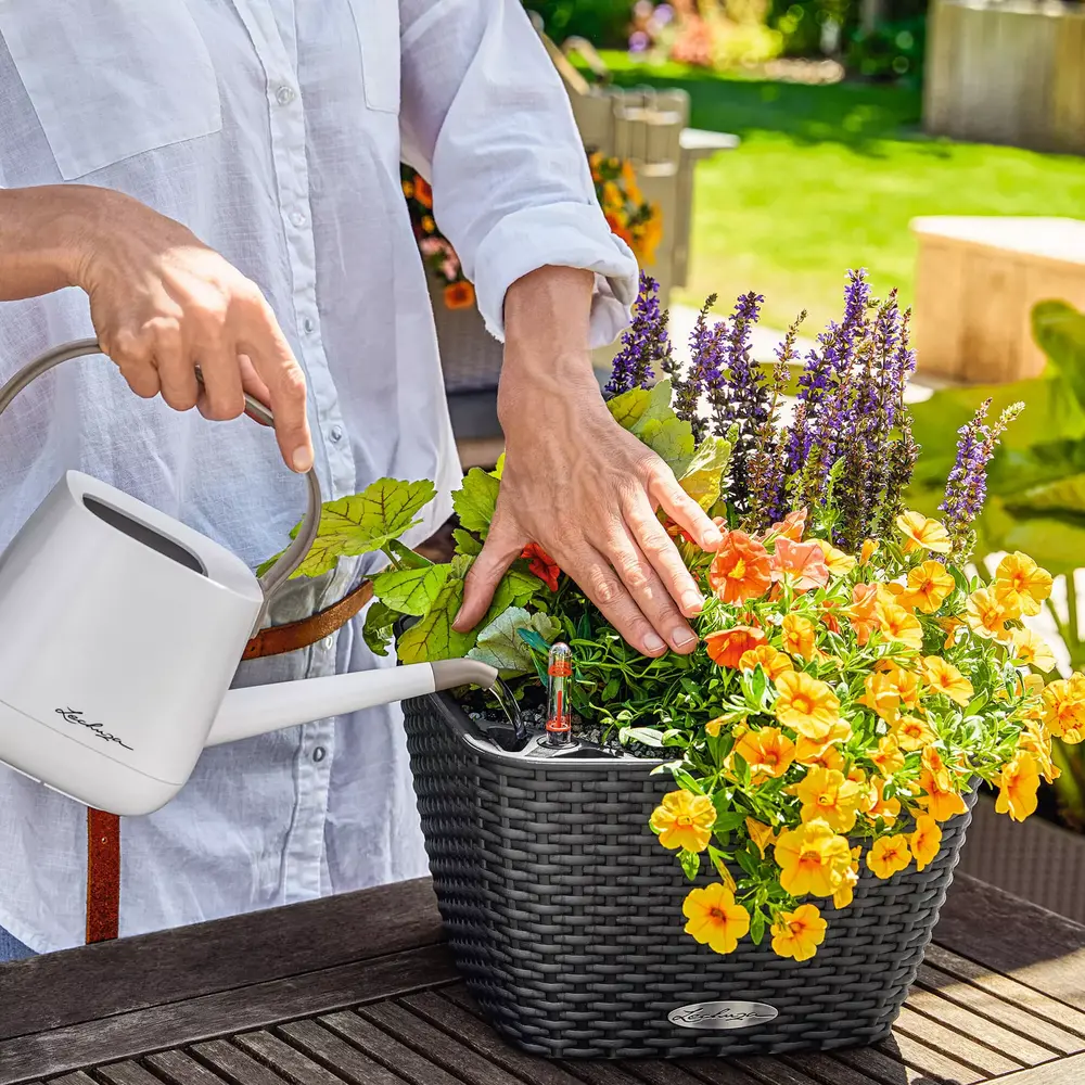 LECHUZA BACINO Cottage moka