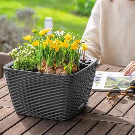 LECHUZA BACINO Cottage brun sable LECHUZA BACINO Cottage brun sable