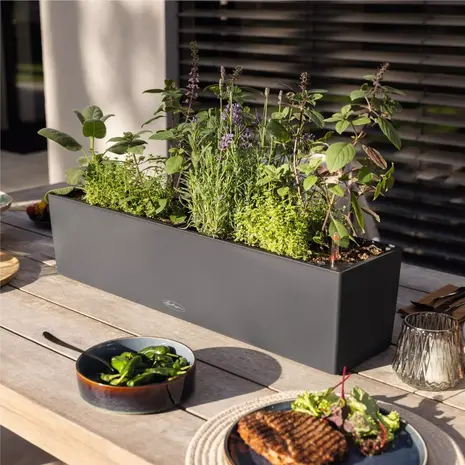 LECHUZA BALCONERA Color 40|50|80|100 gris ardoise- Jardinière - avec bac intérieur amovible - avec système d'irrigation - Ensemble TOUT-EN-UN avec LECHUZA-PON