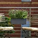 LECHUZA BALCONERA Color 40|50|80|100 slate - with removable inner container - with irrigation system - ALL-IN-ONE set with LECHUZA-PON LECHUZA BALCONERA Color 40|50|80|100 slate - with removable inner container - with irrigation system - ALL-IN-ONE set with LECHUZA-PON