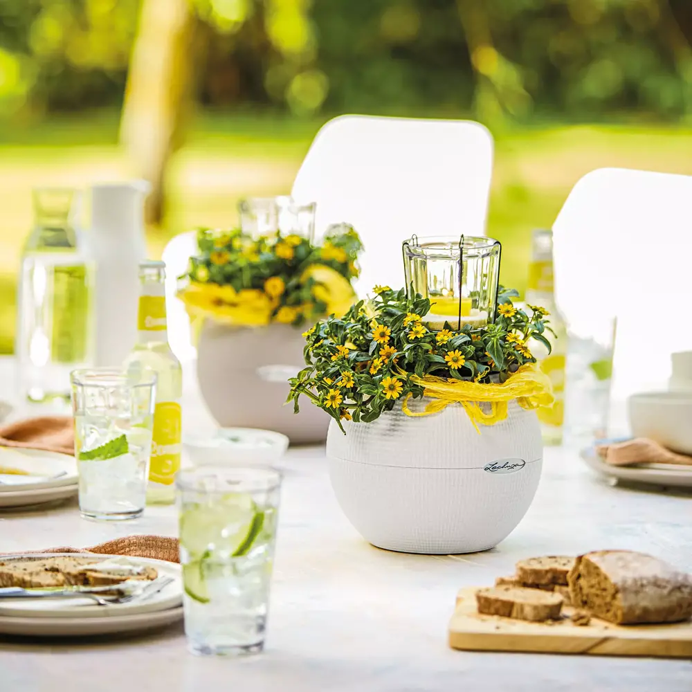 LECHUZA LECHUZA-PURO Color white LECHUZA LECHUZA-PURO Color white