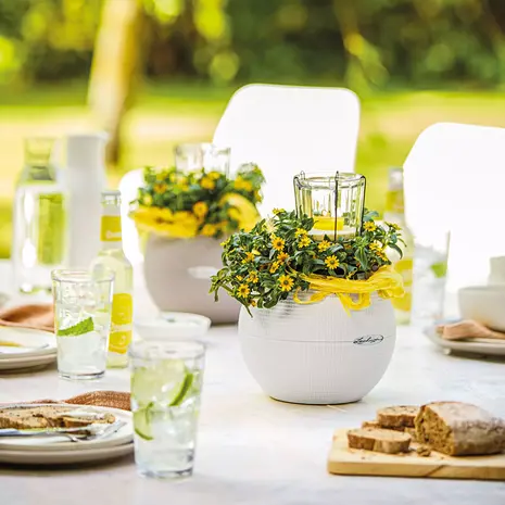 LECHUZA LECHUZA-PURO Color blanc LECHUZA LECHUZA-PURO Color blanc