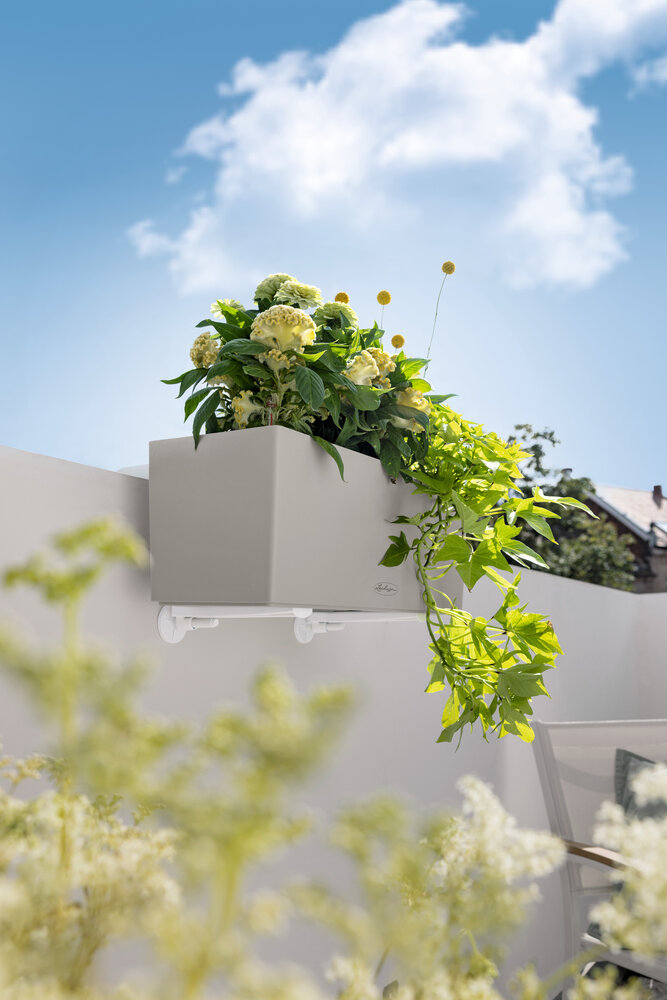 LECHUZA BALCONERA Color brun sable