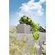 LECHUZA BALCONERA Color sandbraun LECHUZA BALCONERA Color sandbraun