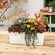 LECHUZA BALCONERA Color peach LECHUZA BALCONERA Color peach