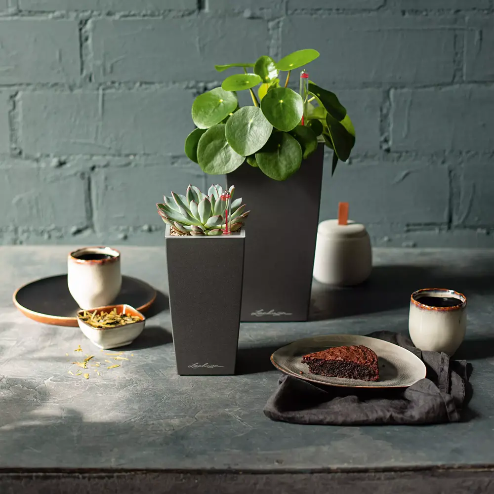 MINI-CUBI scharlakenrood hoogglans MINI-CUBI scharlakenrood hoogglans