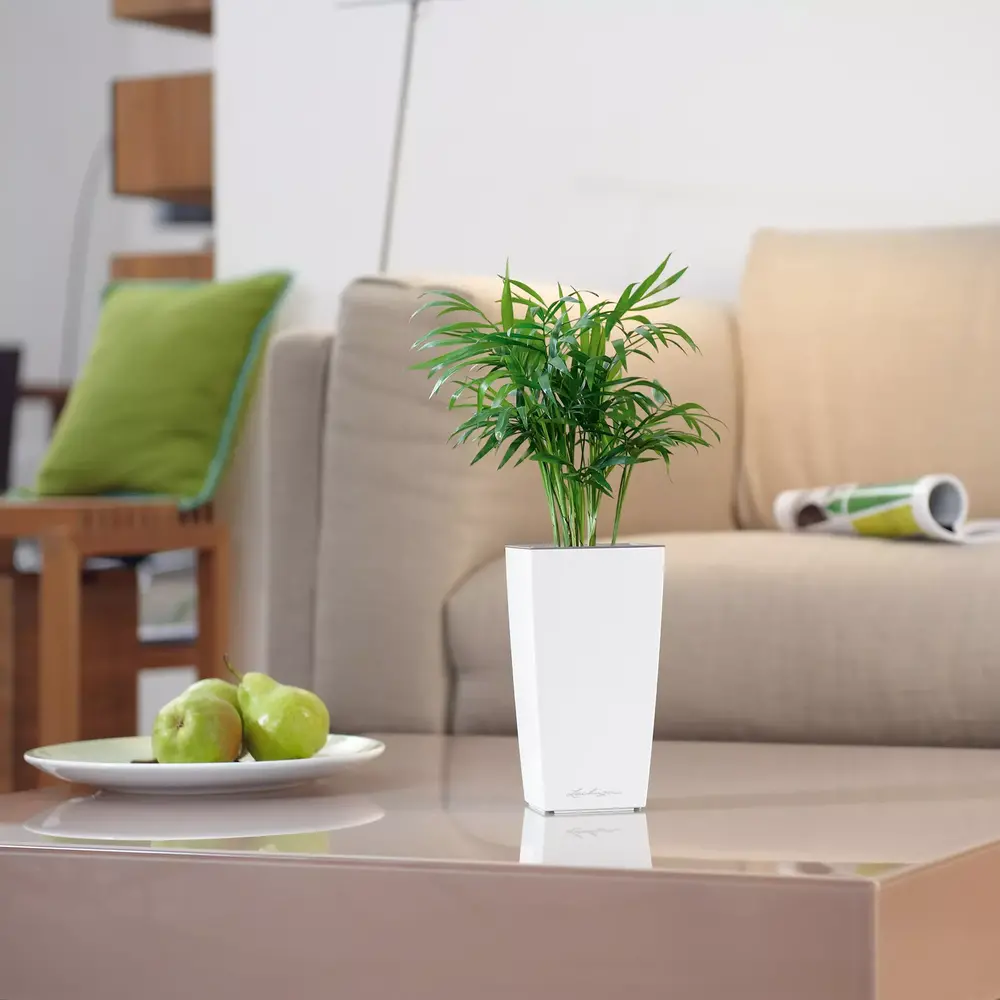 MINI-CUBI scharlakenrood hoogglans MINI-CUBI scharlakenrood hoogglans