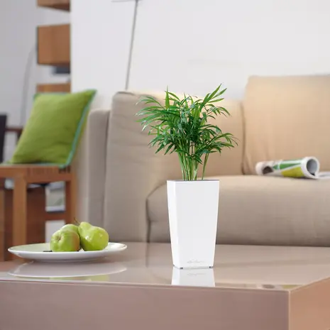 MINI-CUBI scharlakenrood hoogglans MINI-CUBI scharlakenrood hoogglans