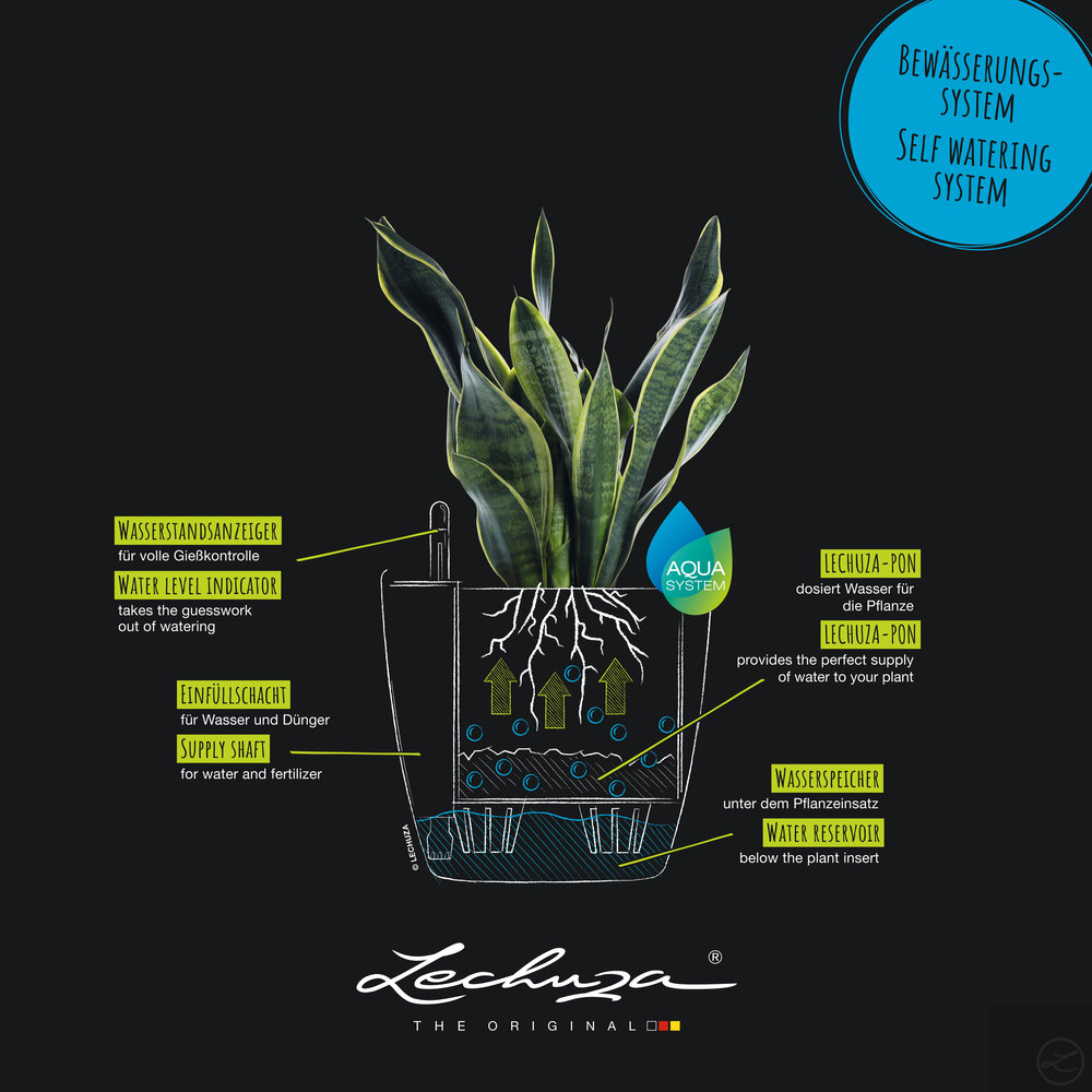 LECHUZA CLASSICO Color vanilla