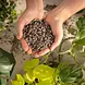 LECHUZA-PON Plant Substrate LECHUZA-PON Plant Substrate