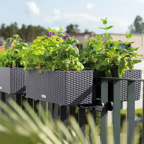 LECHUZA BALCONERA Cottage moka