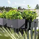 LECHUZA BALCONERA Cottage noir graphite LECHUZA BALCONERA Cottage noir graphite