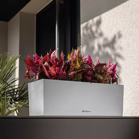 LECHUZA BALCONERA Steel parelgrijs RVS roestvrij staal