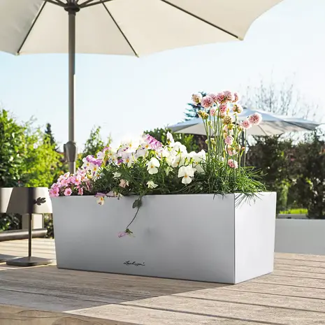 BALCONERA Steel 50 + TERRAPON 12 litres BALCONERA Steel 50 + TERRAPON 12 litres