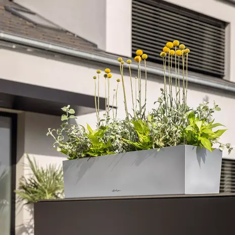 BALCONERA Steel 50 + TERRAPON 12 Liter* BALCONERA Steel 50 + TERRAPON 12 Liter*