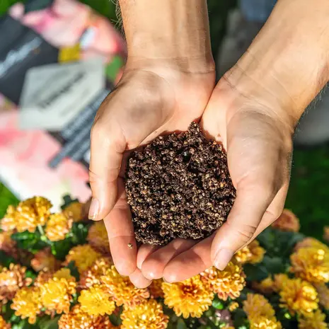 Substrat de plantation TERRAPON Substrat de plantation TERRAPON