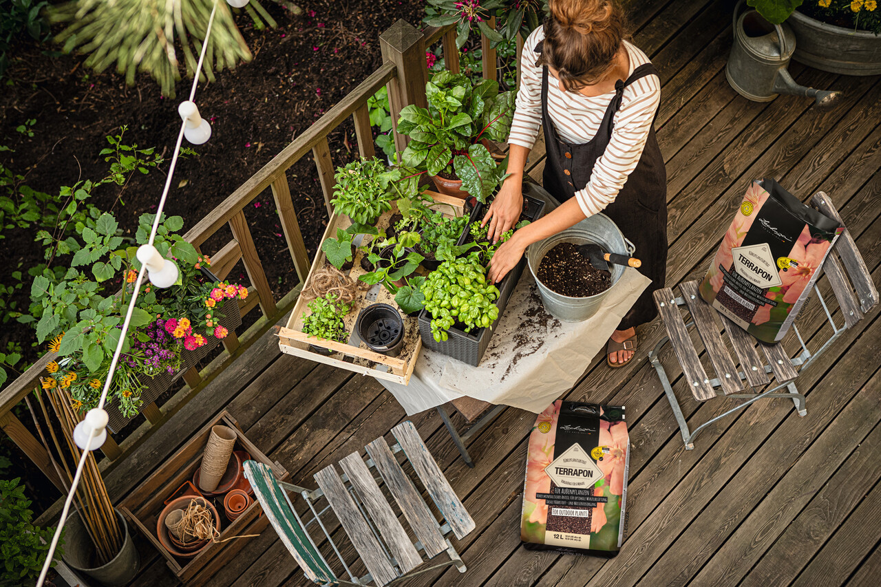 Pflanzsubstrat TERRAPON