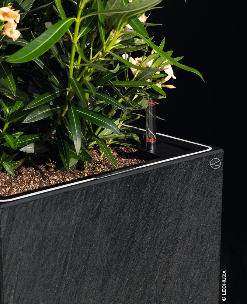 LECHUZA CANTO Slatestone high LED dark grey LECHUZA CANTO Slatestone high LED dark grey