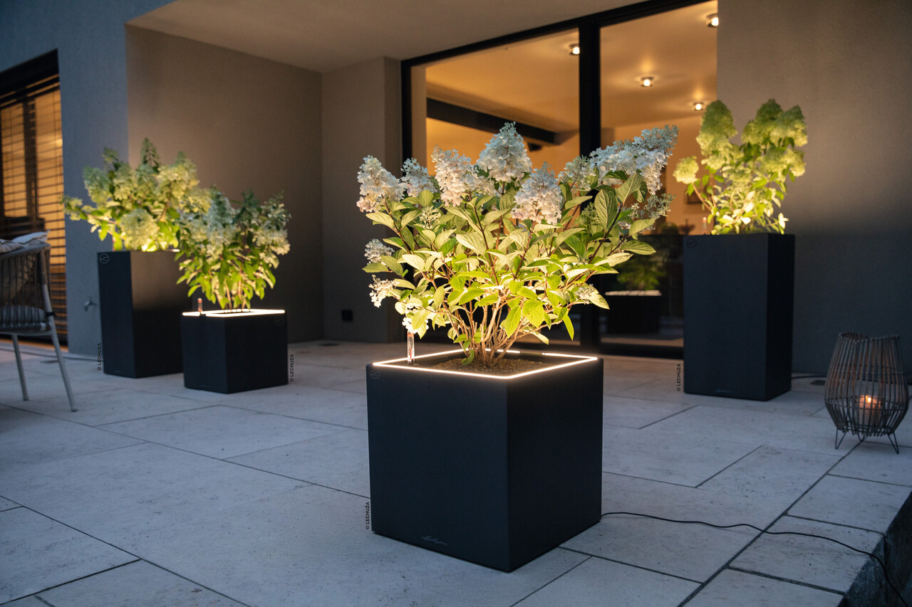 LECHUZA CANTO Slatestone high LED dark grey LECHUZA CANTO Slatestone high LED dark grey