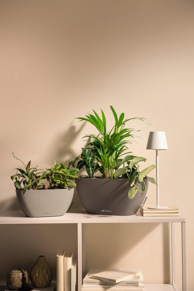 LECHUZA NAVIO Color leisteengrijs