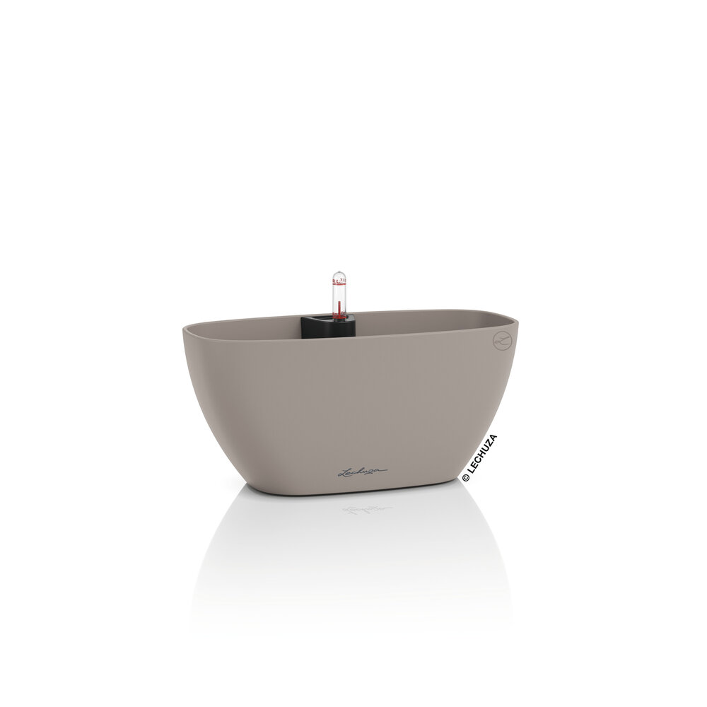 LECHUZA NAVIO Color brun sable